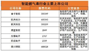 智能燃氣表行業(yè)現(xiàn)狀及未來發(fā)展趨勢分析2024
