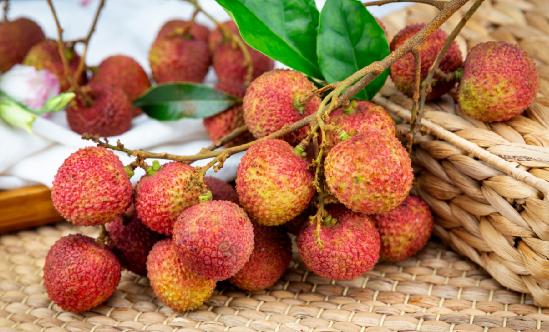 荔枝行業(yè)報告 荔枝產(chǎn)業(yè)發(fā)展分析