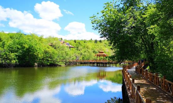 森林公園行業(yè)發(fā)展機(jī)遇與未來(lái)趨勢(shì)：實(shí)現(xiàn)森林旅游產(chǎn)業(yè)向高質(zhì)量發(fā)展