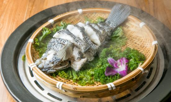 石斑魚行業(yè)市場供需格局分析 石斑魚養(yǎng)殖業(yè)將更加注重規(guī)?；a(chǎn)