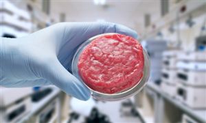 2024年中國(guó)人造肉行業(yè)的產(chǎn)業(yè)鏈上下游結(jié)構(gòu)及發(fā)展趨勢(shì)