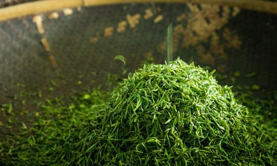 綠茶行業(yè)市場(chǎng)深度調(diào)研：2024年春茶產(chǎn)量增加價(jià)格趨穩(wěn)