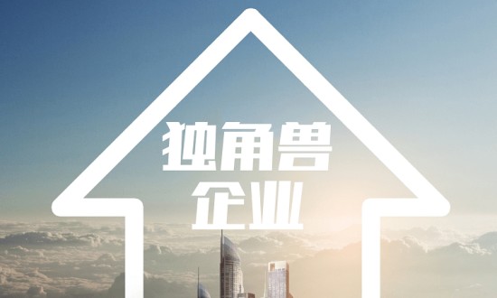 2024年中國(guó)獨(dú)角獸企業(yè)的發(fā)展現(xiàn)狀及發(fā)展前景分析