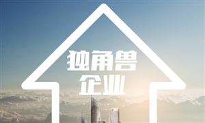 2024年中國獨(dú)角獸企業(yè)的發(fā)展現(xiàn)狀及發(fā)展前景分析