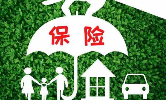旅游保險(xiǎn)行業(yè)發(fā)展現(xiàn)狀分析、市場(chǎng)需求與機(jī)遇