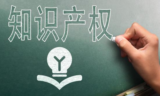 2024中國知識產(chǎn)權(quán)服務行業(yè)市場分析及發(fā)展前景預測