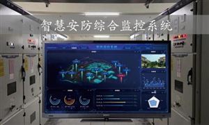 2024年安防系統(tǒng)行業(yè)的產(chǎn)業(yè)鏈上下游結(jié)構(gòu)及發(fā)展趨勢分析