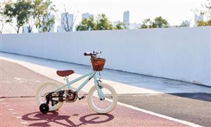 2024年童車行業(yè)市場(chǎng)分析及前景展望