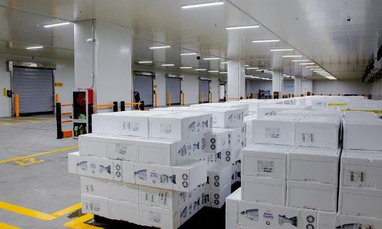 生鮮冷鏈物流行業(yè)市場調查與發(fā)展趨勢研究2024