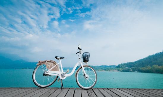中國自行車行業(yè)市場分析及發(fā)展前景預(yù)測