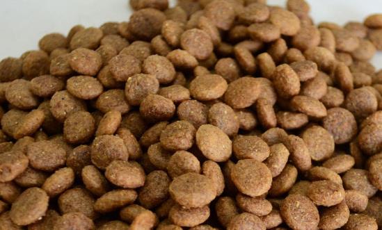 寵物飼料行業(yè)市場機會分析：預(yù)計2026年城鎮(zhèn)寵物(犬貓)消費市場規(guī)模達3613億元