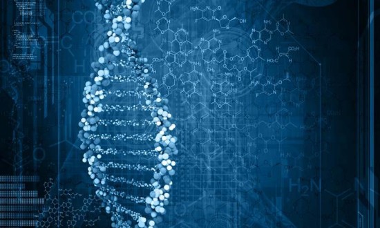 2024年中國生物計(jì)算行業(yè)的市場發(fā)展現(xiàn)狀及投資前景分析