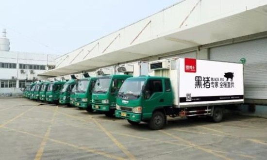 2024年中國生豬冷鏈物流行業(yè)的產業(yè)鏈分析及投資前景