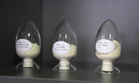 2024年中國生物酶制劑行業(yè)的產(chǎn)業(yè)鏈上下游結(jié)構(gòu)及發(fā)展趨勢