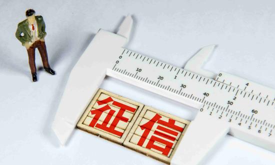 征信服務(wù)行業(yè)市場現(xiàn)狀分析與前景研究2024