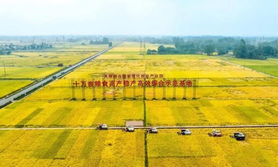 2024年中國高標(biāo)準(zhǔn)農(nóng)田行業(yè)的市場發(fā)展現(xiàn)狀及發(fā)展前景分析