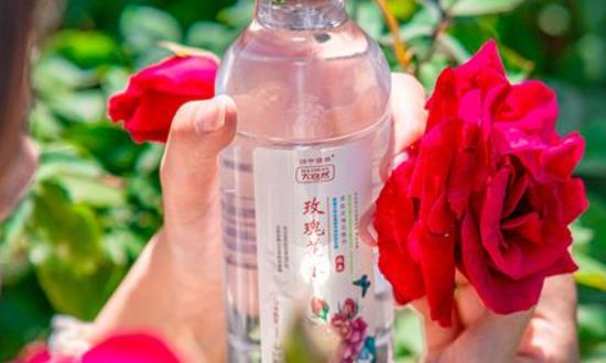 植物水飲料行業(yè)市場投資潛力：預(yù)計(jì)到2025年將突破2000億元