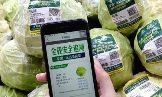 2024年中國食品溯源行業(yè)的產(chǎn)業(yè)鏈上下游結(jié)構(gòu)及投資潛力分析