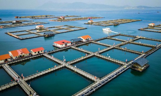 2024年中國海洋牧場(chǎng)行業(yè)的市場(chǎng)發(fā)展現(xiàn)狀及投資前景分析