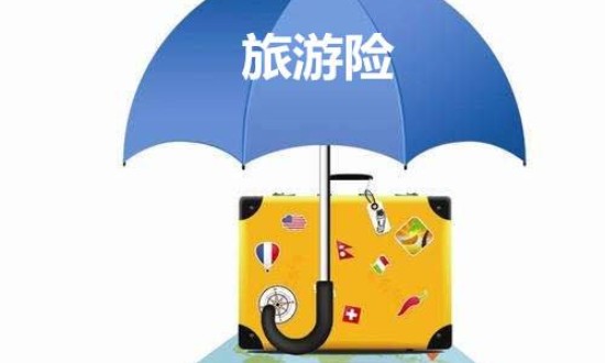 2024年中國旅游保險(xiǎn)行業(yè)的產(chǎn)業(yè)鏈上下游結(jié)構(gòu)及投資趨勢(shì)分析