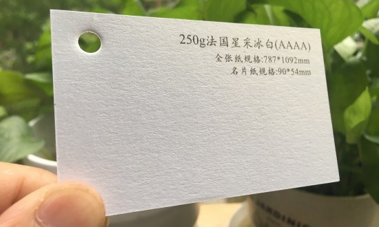 2024年中國特種紙行業(yè)的技術壁壘及投資趨勢分析