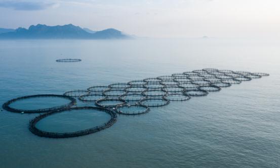 海洋生態(tài)行業(yè)市場(chǎng)深度分析及競(jìng)爭(zhēng)格局分析2024