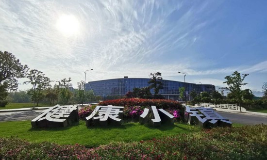 2024年中國健康小鎮(zhèn)行業(yè)的產(chǎn)業(yè)鏈上下游結(jié)構(gòu)及發(fā)展趨勢分析