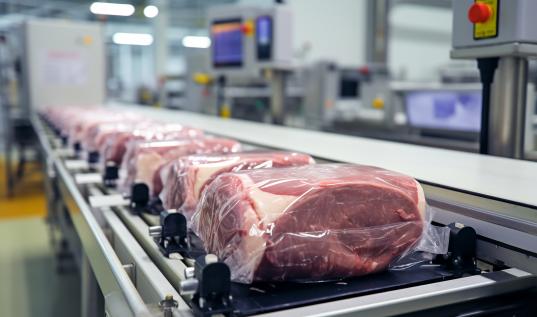 2024中國食品加工行業(yè)市場深度分析