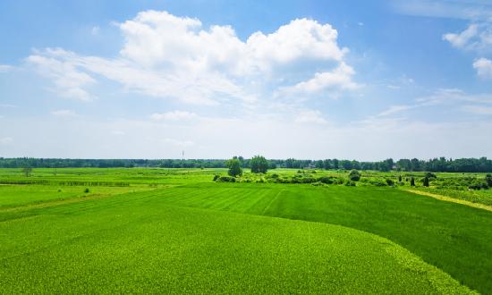 中國休閑農業(yè)與鄉(xiāng)村旅游行業(yè)市場發(fā)展分析：市場需求旺盛，消費持續(xù)強勁