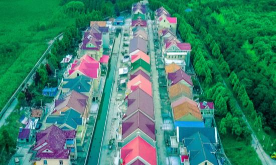 2024年中國休閑農業(yè)與鄉(xiāng)村旅游行業(yè)盈利模式及未來發(fā)展趨勢分析