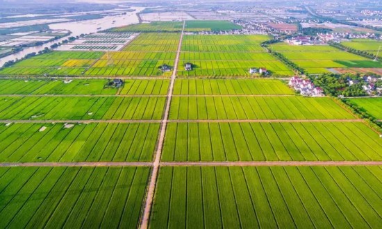 2024年中國高標(biāo)準(zhǔn)農(nóng)田行業(yè)的市場發(fā)展現(xiàn)狀及投資風(fēng)險分析
