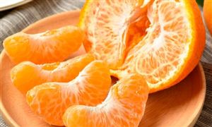 柑橘行業(yè)深度分析及未來(lái)發(fā)展趨勢(shì)預(yù)測(cè)