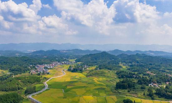 2024年麥芽市場發(fā)展趨勢及行業(yè)發(fā)展機遇分析