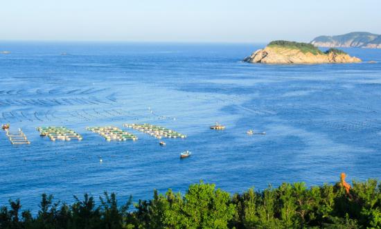 2024年中國(guó)海洋生態(tài)行業(yè)現(xiàn)狀深度調(diào)查分析