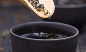 2025年中國(guó)茶加工產(chǎn)業(yè)園區(qū)定位規(guī)劃及招商策略咨詢報(bào)告