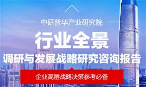 2025年中國動漫主題公園行業(yè)：上海迪士尼“瘋狂動物城”引領(lǐng)新風尚，未來競爭與發(fā)展前景深度剖析