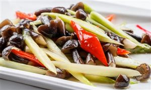 貴州省食用菌行業(yè)“十五五”規(guī)劃前景預(yù)測(cè)研究報(bào)告
