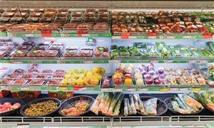 2025年“一帶一路”食品加工行業(yè)競爭格局預(yù)測與投資戰(zhàn)略分析，食品產(chǎn)業(yè)新機遇