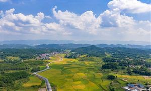 2025年農(nóng)場(chǎng)行業(yè)發(fā)展前景預(yù)測(cè)：技術(shù)驅(qū)動(dòng)+綠色轉(zhuǎn)型+產(chǎn)業(yè)融合