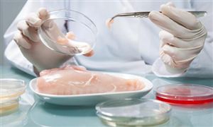 2025食品安全檢測(cè)行業(yè)投資潛力及未來(lái)發(fā)展前景分析