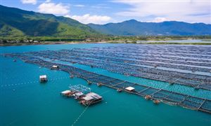 2025年海水養(yǎng)殖行業(yè)市場發(fā)展現(xiàn)狀及未來發(fā)展前景趨勢分析