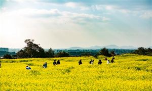 鄉(xiāng)村振興背景下的農(nóng)家樂新機遇