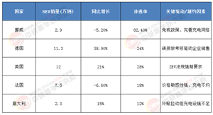 2025-2030年歐洲電動(dòng)汽車(chē)行業(yè)：技術(shù)躍遷、政策重構(gòu)與市場(chǎng)突圍的“三重變奏”