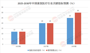 2025-2030康復(fù)醫(yī)療產(chǎn)業(yè)白皮書：資本布局、技術(shù)突破與支付體系重構(gòu)