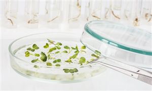 2025年生物芯片行業(yè)全景調(diào)研及發(fā)展趨勢預(yù)測