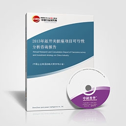 2013年版開(kāi)關(guān)插座項(xiàng)目可行性分析咨詢報(bào)告