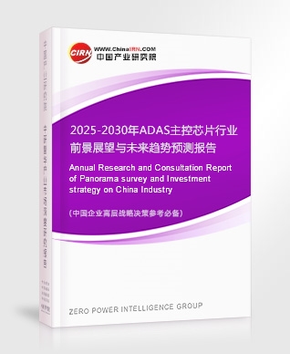 2025-2030年ADAS主控芯片行業(yè)前景展望與未來(lái)趨勢(shì)預(yù)測(cè)報(bào)告